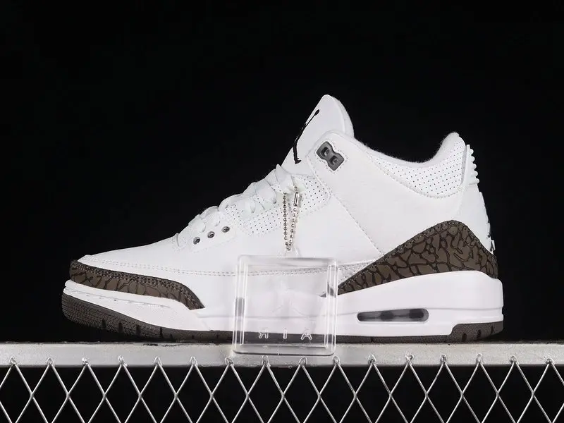 Air Jordan 3-13