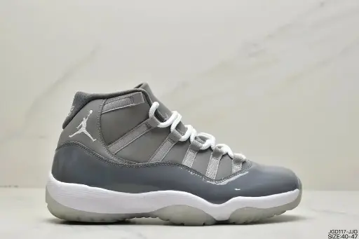 Air Jordan 11-6