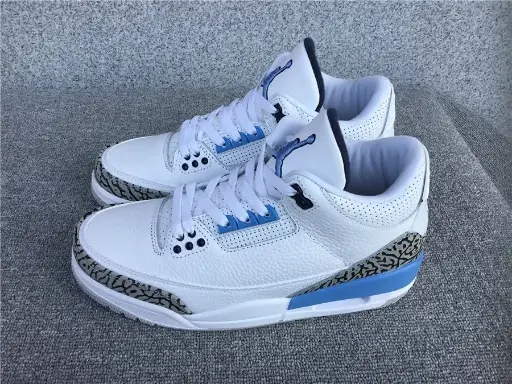 Air Jordan 3-1